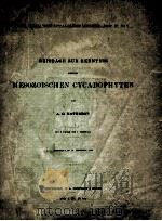 beitrage zur kenntnis einiger mesozoischen cycadophyen（1902 PDF版）