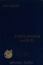 ferns fossils & fuel   1931  PDF电子版封面    noe A.C. 
