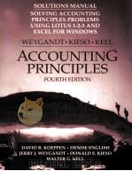 SOLVING ACCOUNTING PRINCIPLES PROBLEMS USING LOTUS 1-2-3 AND EXCEL FOR WINDOWS  FOURTH EDITION（1996 PDF版）