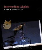 INTERMEDIATE ALGEBRA（1991 PDF版）