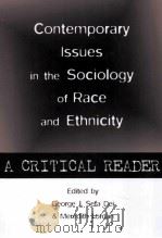 contemporary issues in the sociology of race and ethnicitya critical reader（ PDF版）