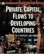 PRIVATE CAPITAL FLOWS TO DEVELOPING COUNTRIES  THR ROAD TO FINANCIAL INTEGRATION   1997  PDF电子版封面  0195211162   