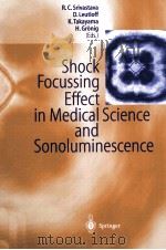 Shock Focussing Effect in Medical Science and Sonoluminescence（ PDF版）