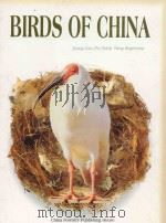 Birds of China     PDF电子版封面  7503815981  Zhang Cizu 