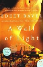 A WALL OF LIGHT     PDF电子版封面  0060761479  EDEET RAVEL 