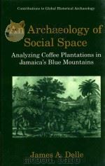 AN ARCHAEOLOGY OF SOCIAL SPACE ANALYZING COFFEE PLANTATIONS IN JAMAICA'S BLUE MOUNTAINS   1998  PDF电子版封面  0306458500  JAMES A.DELLE 