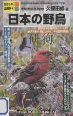 日本の野鳥     PDF电子版封面    2011 10 
