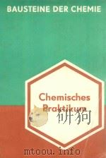 CHEMISCHES PRAKTIKUM   1980  PDF电子版封面     