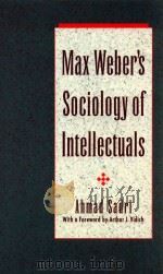 Max Weber's sociology of intellectuals（1992 PDF版）