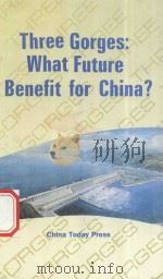 Three Gorges What Fuyure Benefit for China（1991 PDF版）