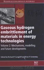 gaseous hydrogen embrittlement of materials in energy technologies volume 2     PDF电子版封面     