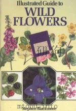 ILLUSTRATED GUIDE TO WILD FLOWERS（1987 PDF版）