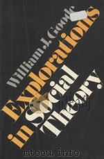 EXPLORATIONS IN SOCIAL THEORY   1973  PDF电子版封面  0195016211  WILLIAM J.GOODE 