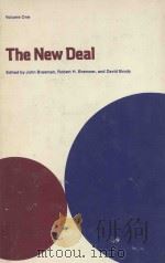 THE NEW DEAL:THE NATIONAL LEVEL  VOLUME ONE   1975  PDF电子版封面  0814202004  JOHN BRAEMAN，ROBERT H.BREMNER， 