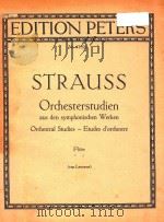 Orchesterstudien aus des symphonischen Werken fur Flote（ PDF版）