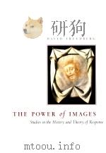 THE POWER OF IMAGES STUDIES IN THE HISTORY AND THEORY OF RESPONSE   1991  PDF电子版封面  226261468  DAVID FREEDBERG 