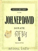 JOH.NEP.DAVID SONATE（ PDF版）