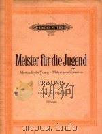 Meister fur die Jugend Brahms Klavier zu 2 Handen=青年钢琴名曲集 第八集   1987  PDF电子版封面     