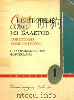 苏联作曲家舞剧中的小提琴独奏(外文)     PDF电子版封面     