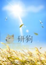 罗德:小提琴协奏曲第7号A短调(小提琴和钢琴)(外文)（ PDF版）