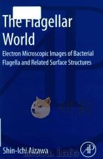 the flagellar world electron microscopic images of bacterial flagella and related surface structures     PDF电子版封面     