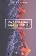 energising leadership     PDF电子版封面     