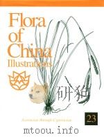 Flora of China 23     PDF电子版封面    1994 