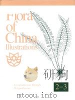 flora of china illustraations volume 2-3     PDF电子版封面     