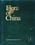 Flora of China Volume 4     PDF电子版封面    1999 