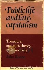 Public life and late capitalism Toward a socialist theory of democracy   1984  PDF电子版封面  0521255430  John Keane 