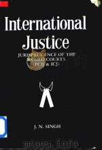 International Justice Jurisprudence of the World Courts (PCIK & ICJ)（1991 PDF版）