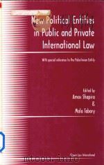 New Political Entities in Public and Private International Law With Special Reference to the Palesti   1999  PDF电子版封面  9041111557  Amos Shapira and Mala Tabory 