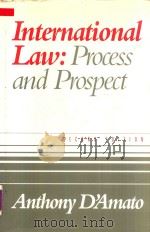 International Law Process and Prospect   1995  PDF电子版封面  0941320847  Anthony D'Amato 