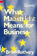 What Maastricht Means for Business:Opportunities and Regulations in the EC Internal Market（1993 PDF版）