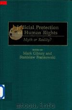 Judicial Protection of Human Rights Myth or Reality?（1999 PDF版）