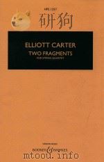 Two fragments For string quartet（1994 PDF版）