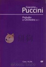 PRELUDIO A ORCHESTRA SC 1     PDF电子版封面     