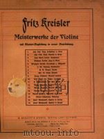 MEISTERWERKE DER VIOLINE     PDF电子版封面     