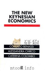 The New Keynesian Economics   1994  PDF电子版封面  0631184856   