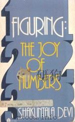FIGURING THE JOY OF NUMBERS（1977 PDF版）