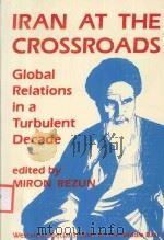 IRAN AT THE CROSSROADS GLOBAL RELATIONS IN A TURBULENT DECADE（1990 PDF版）