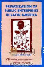 PRIVATIZATION OF PUBLIC ENTERPRISES IN LATIN AMERICA（1991 PDF版）