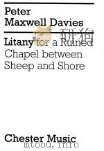 Litany  for a Ruined Chapel between Sheep and Shore   1999  PDF电子版封面     