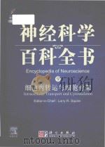 encyclopedia of neuroscience = 神经科学百科全书 9 细胞内转运与细胞骨架 P676     PDF电子版封面     