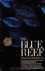 THE BLUE REEF A REPORT FROM BENEATH THE SEA   1978  PDF电子版封面  0394400356   