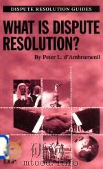 What is Dispute Resolution?   1998  PDF电子版封面  1859788343   