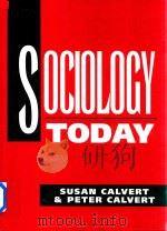 Sociology Today   1992  PDF电子版封面  0745008712   