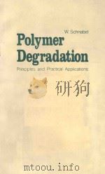 POLYMER DEGRADATION PRINCIPLES AND PRACTICAL APPLICATIONS   1981  PDF电子版封面  0029496403  W.SCHNABEL 