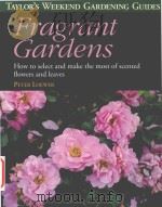 Fragrant Gardens How to Select and make the most of Scented Flowers and Leaves Series Editior   1999  PDF电子版封面  0395884926  Peter Loewer 