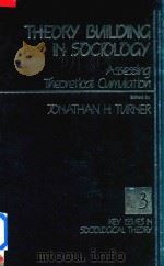 Theory Building in Sociology Assessing Theoretical Cumulation 3 Key Issues in Sociological Theory（1989 PDF版）